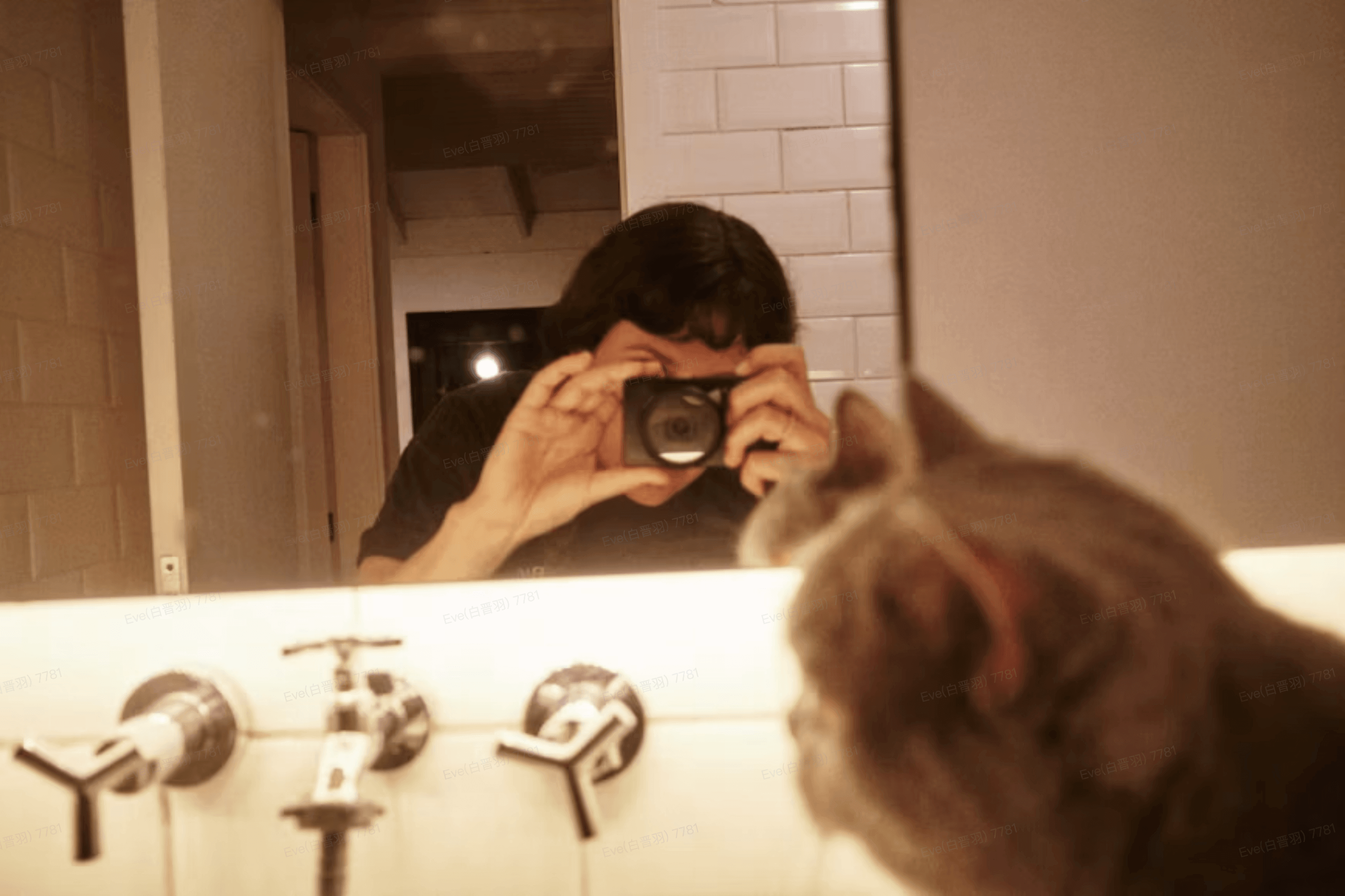 A person taking a mirror photograph while a cat watches